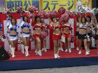 東日本Xリーグ チアリーディング