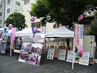 積水ハウス